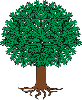 Oak Tree Illustration PNG