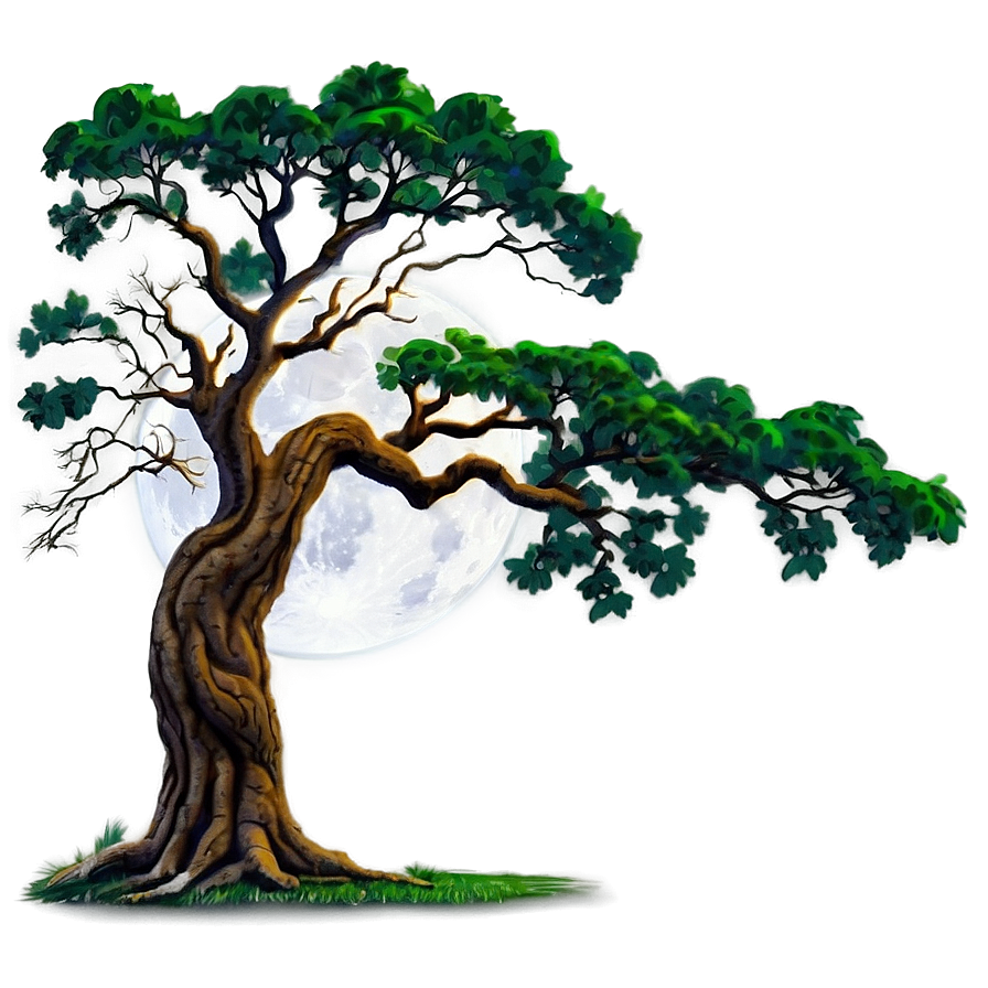 Oak Tree Moonlight Png Lvd PNG