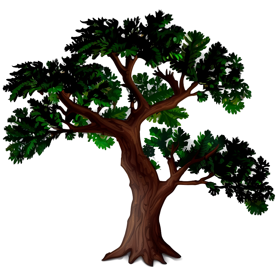 Oak Tree Shadow Png 99 PNG