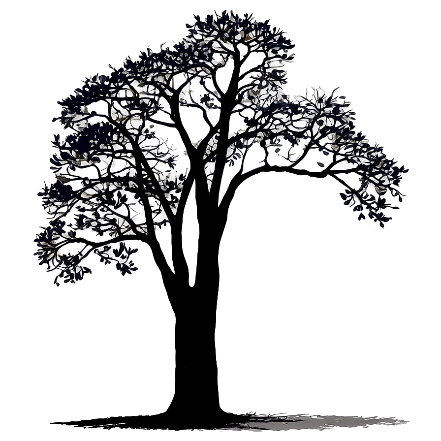 Oak Tree Silhouette At Sunset Png Mvc6 PNG