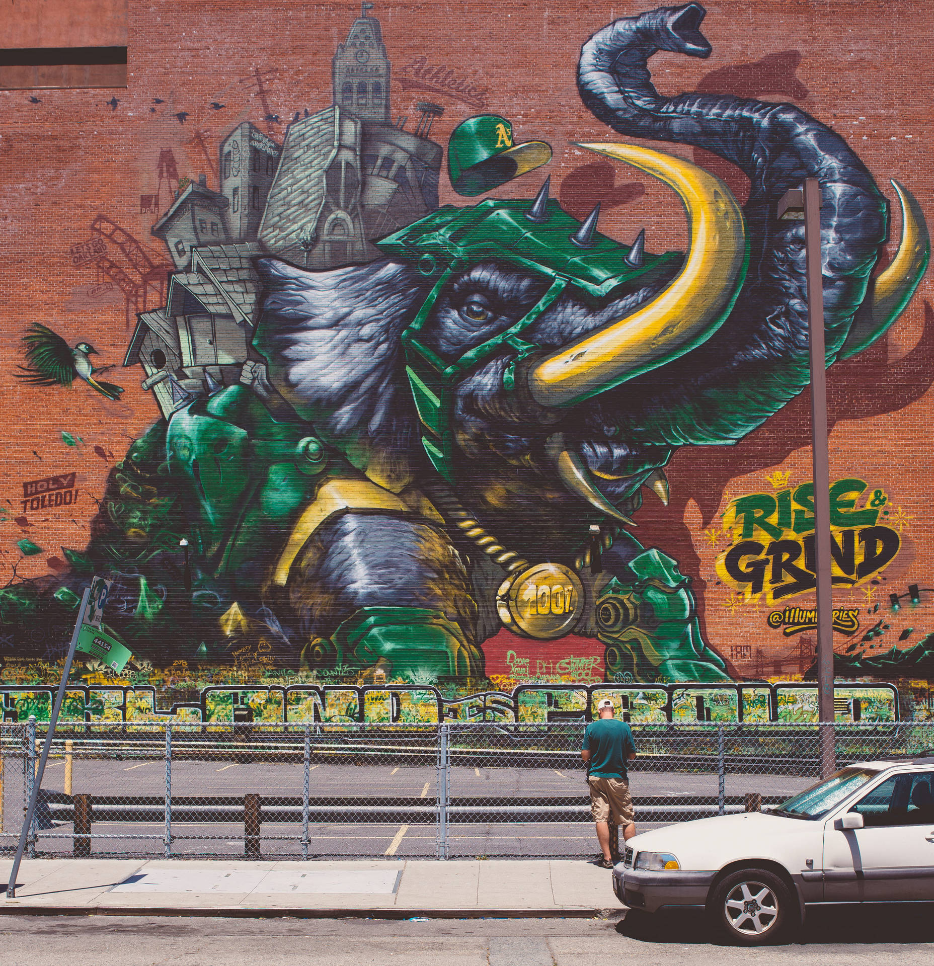 Oaklandathletics Elefantgraffiti. Wallpaper
