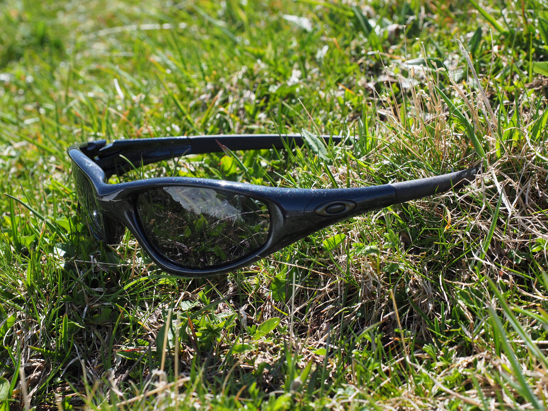 Oakley Sunglasses Sports Rider Eyewear Picture