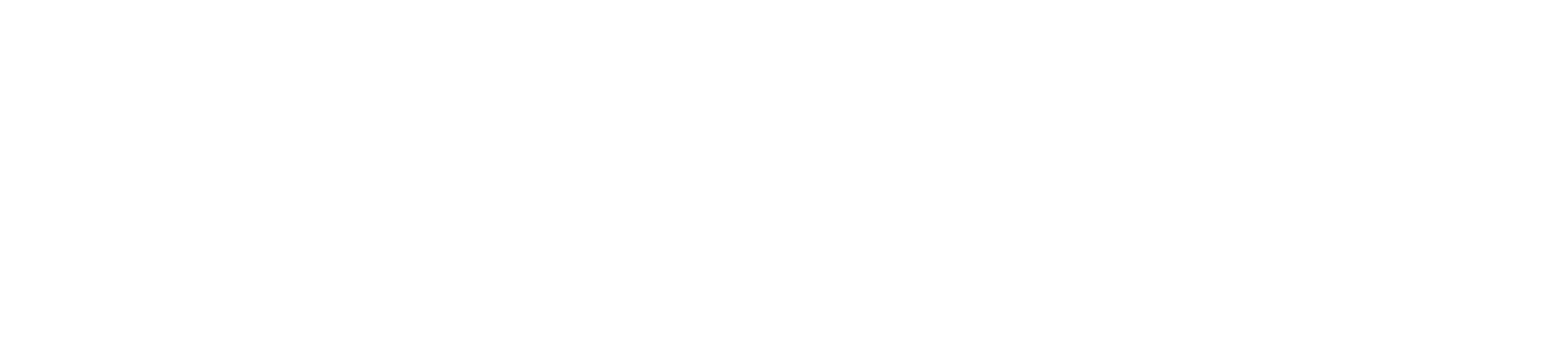 Oasis Loss Modelling Framework Logo PNG