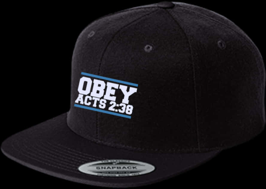 Obey Acts238 Snapback Cap PNG