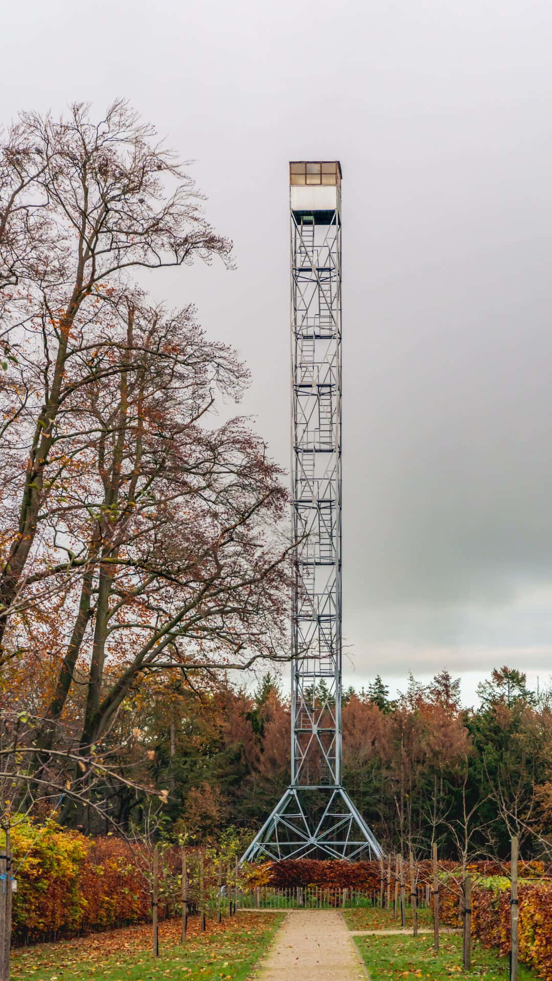 Observation Tower Oosterhout Autumn Wallpaper