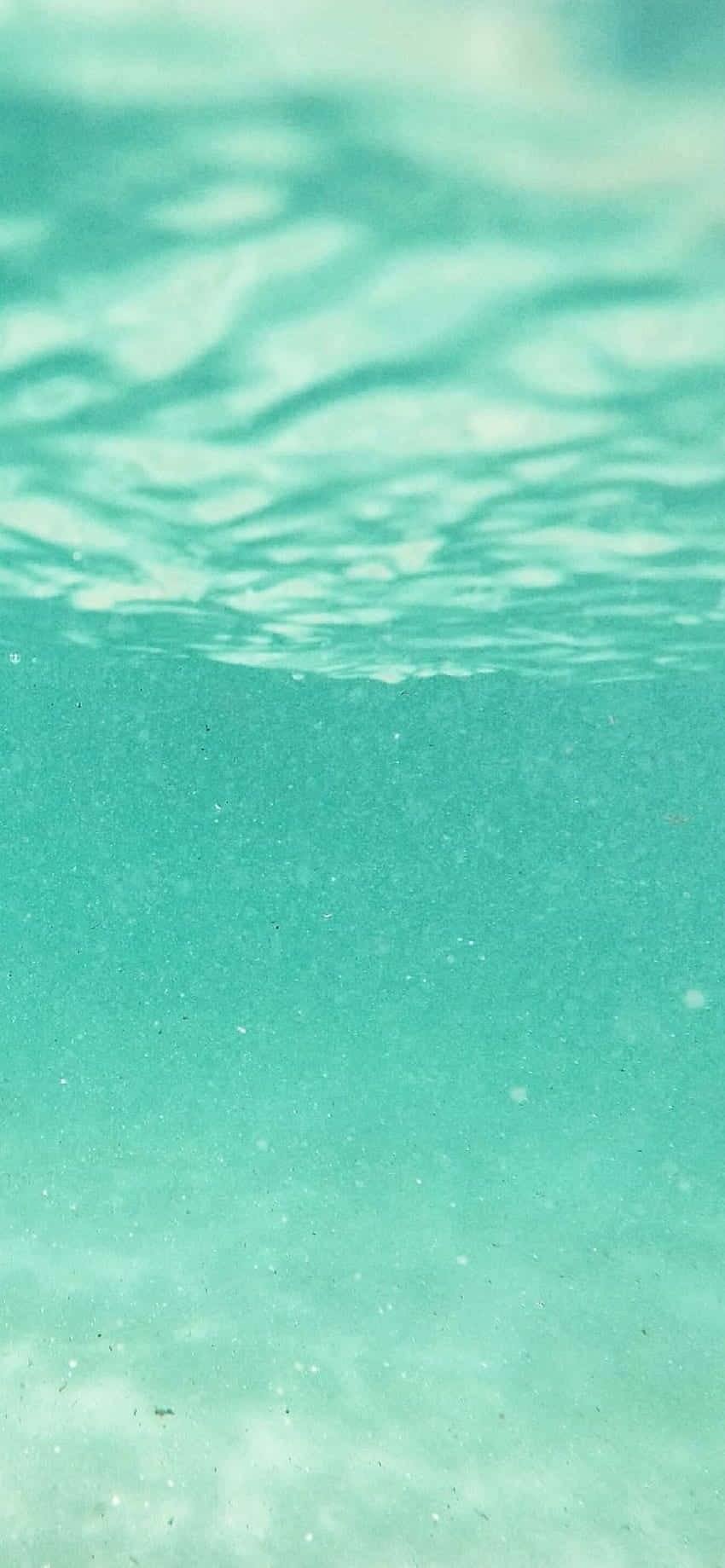 Underwater View Of The Ocean Wallpaper
