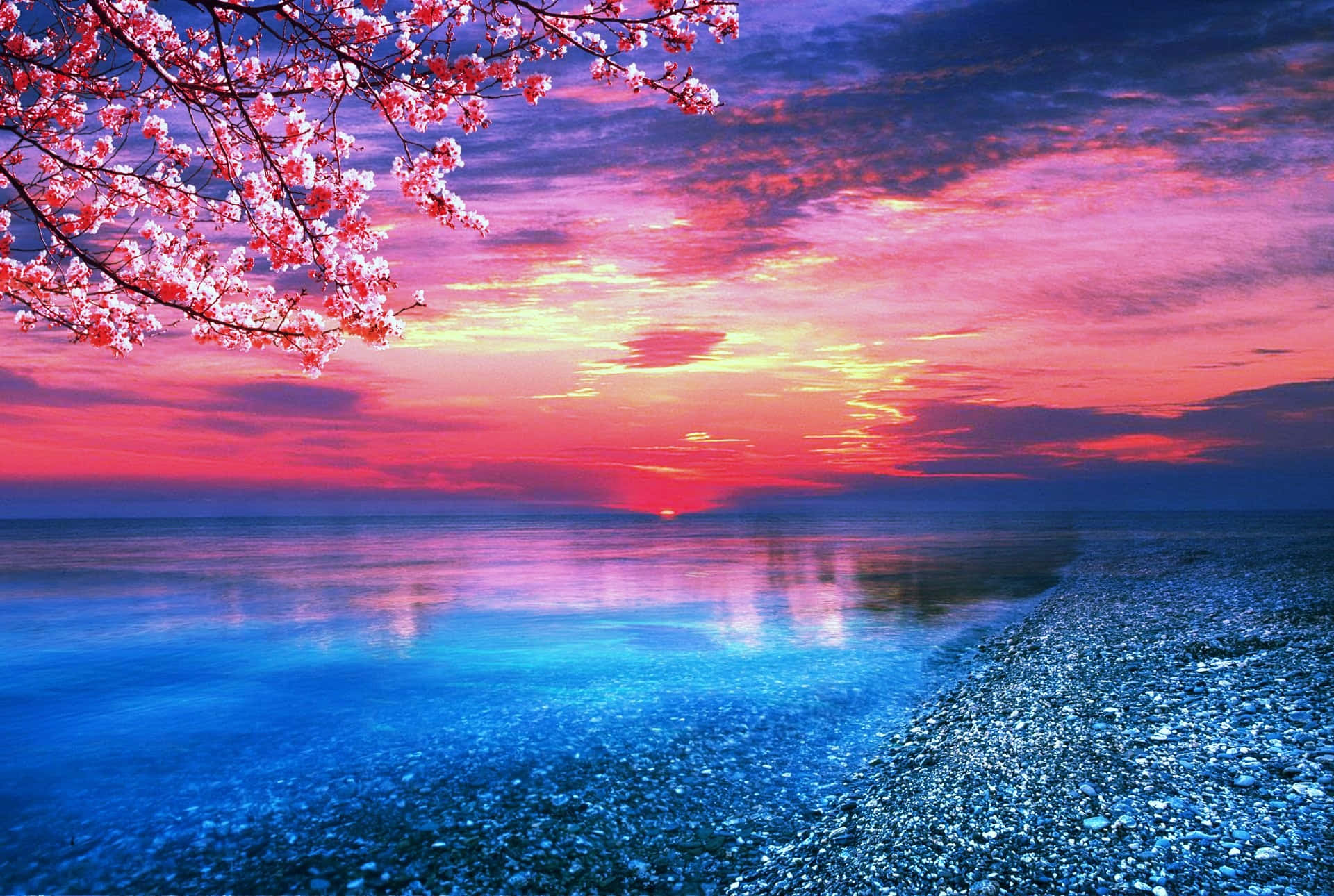 Ocean With Cherry Blossom Tree Background