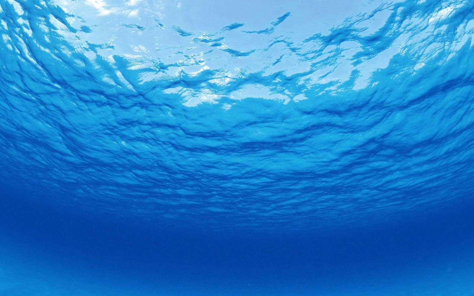 Baggrundmed Undervandsudsigt Af Havet