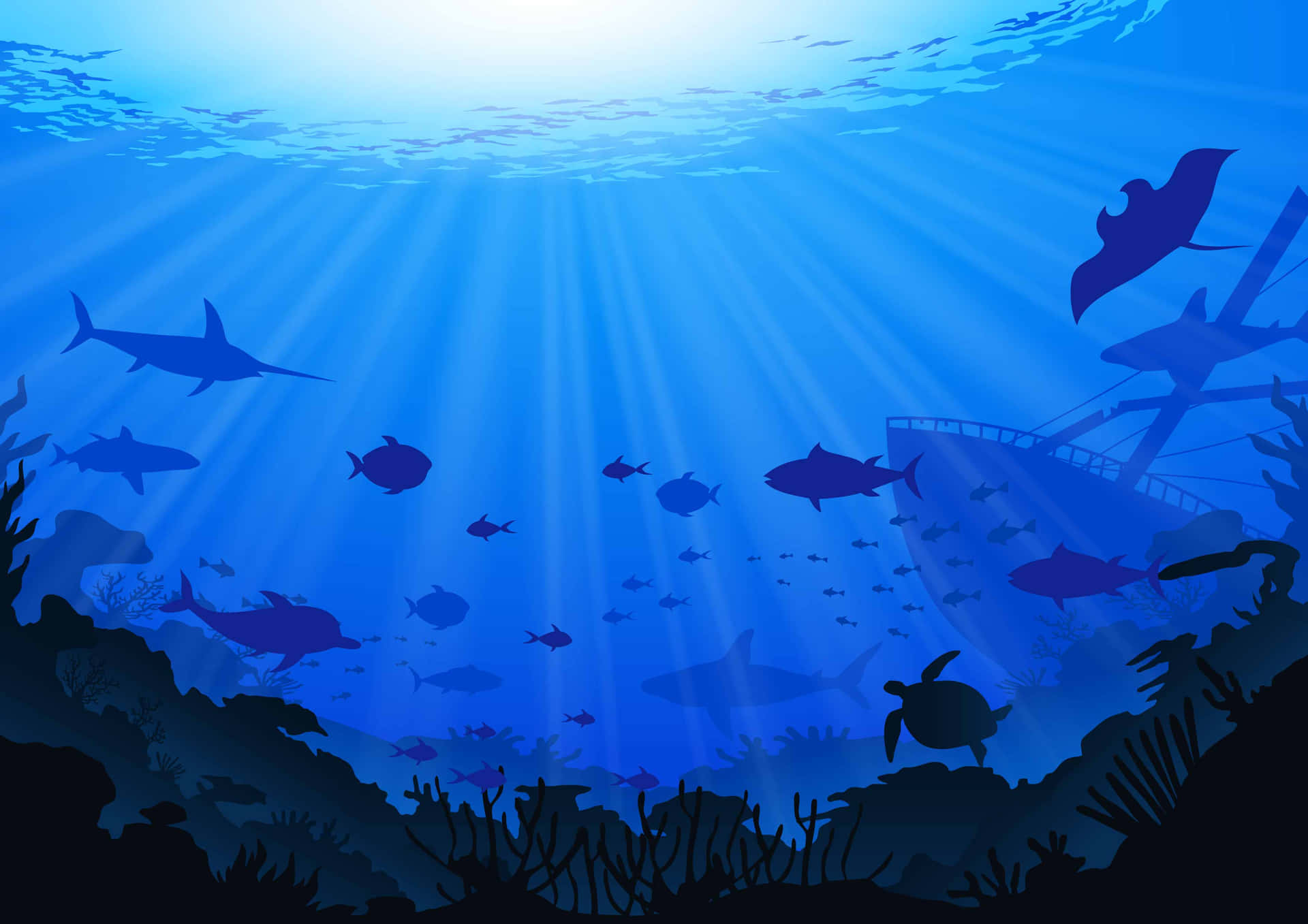 Aquatic Animals Under The Ocean Graphic Art Background