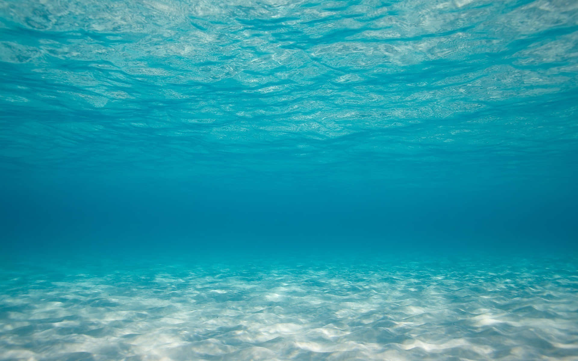 Underwater Ocean Surface Background