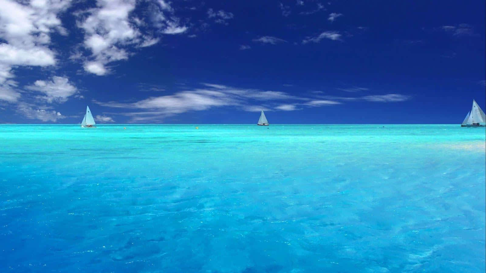 Enjoy the beauty of a captivating ocean blue
