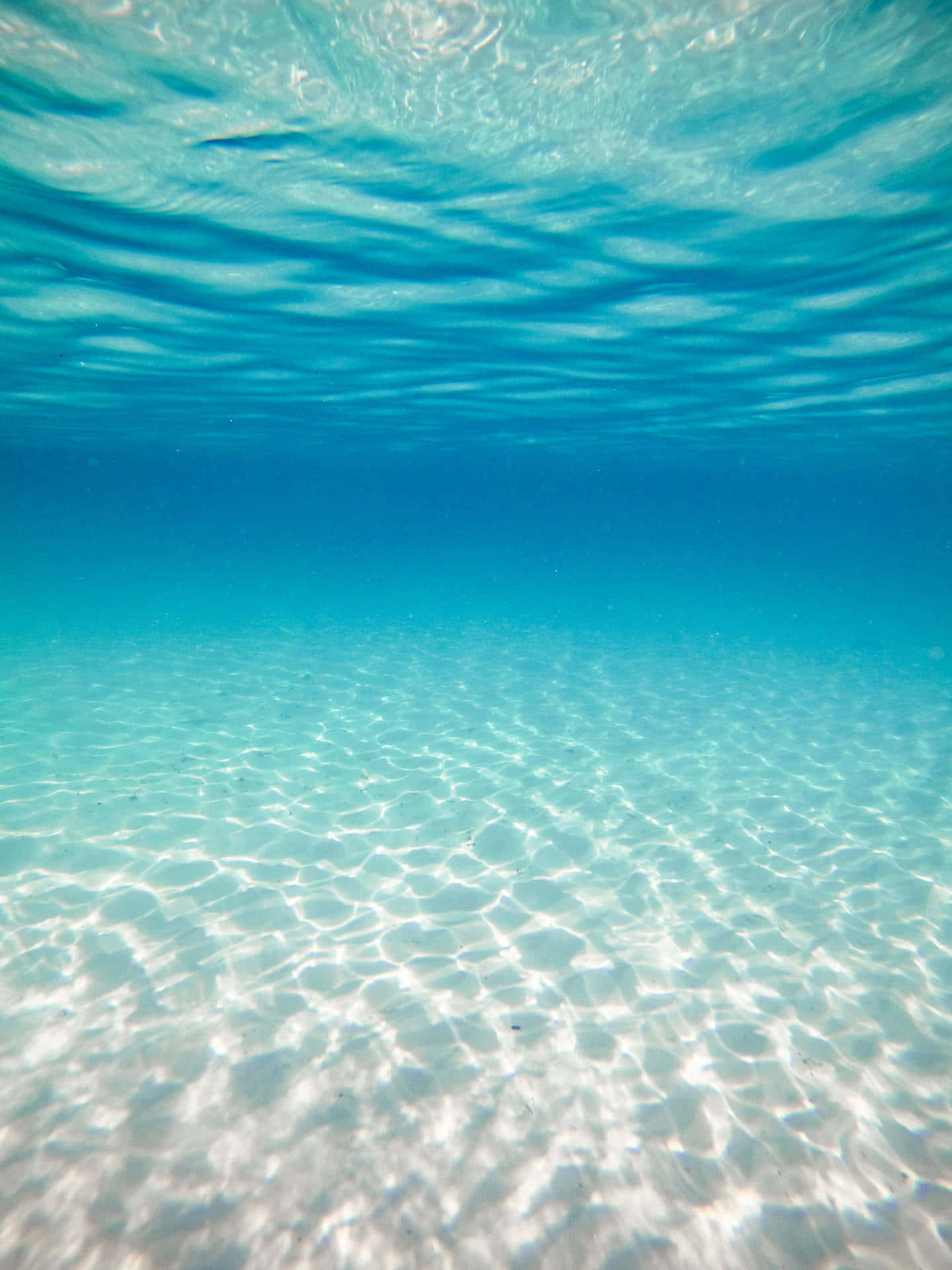 Underwater View Of The Ocean