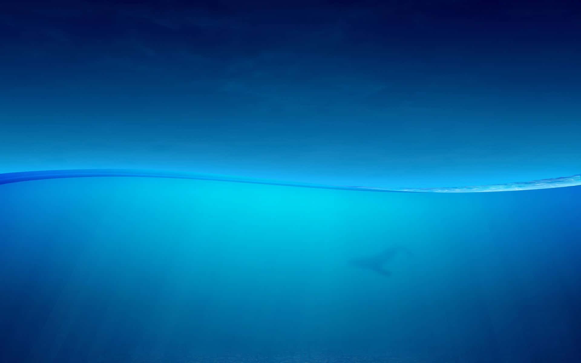 Utforskaskönheten I Det Oceanblåa