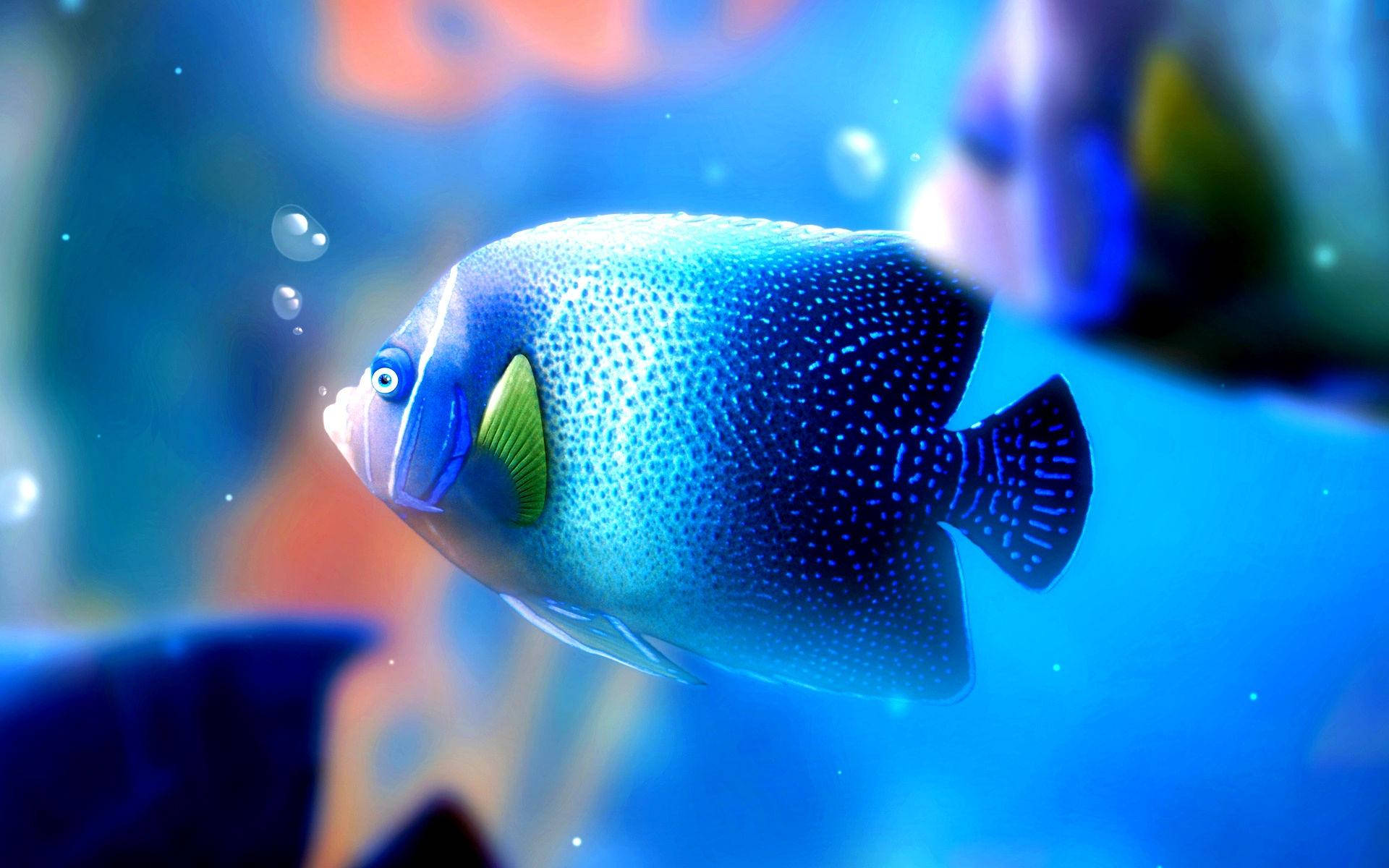 A beautiful Ocean Blue Fish soars elegantly through the crystal-clear waters Wallpaper