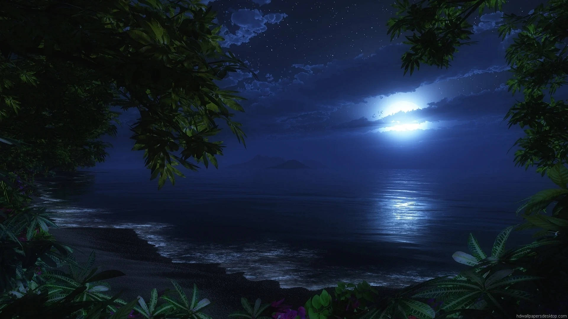 Ocean On A Beautiful Night Wallpaper