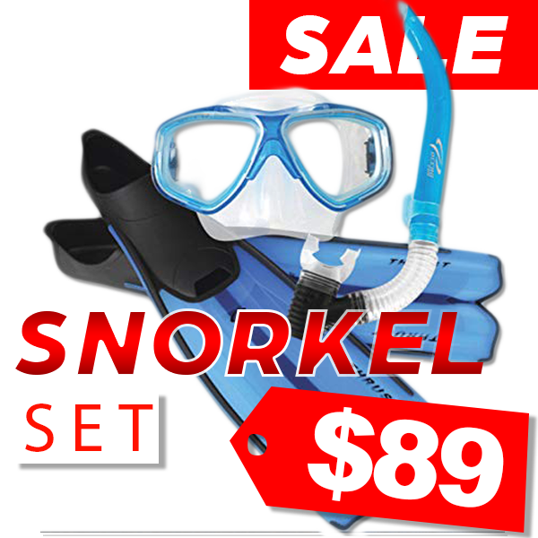 Ocean Pro Snorkel Set Sale89 Dollars PNG