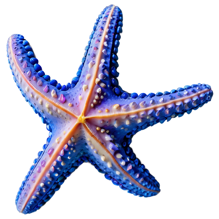 Ocean Starfish Sandy Png Pfx PNG