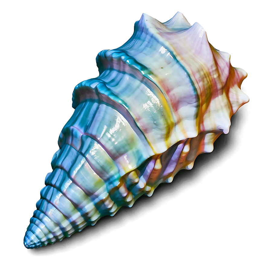 Ocean Themed Conch Shell Png 51 PNG