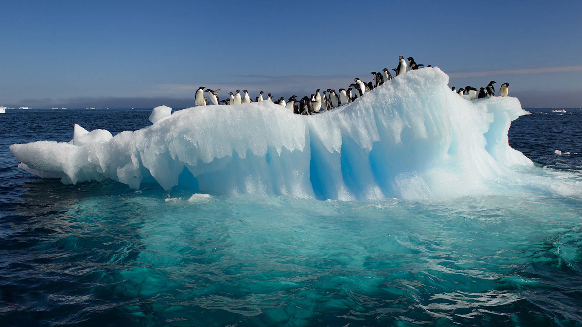 Ocean View With Iceberg Penguins
