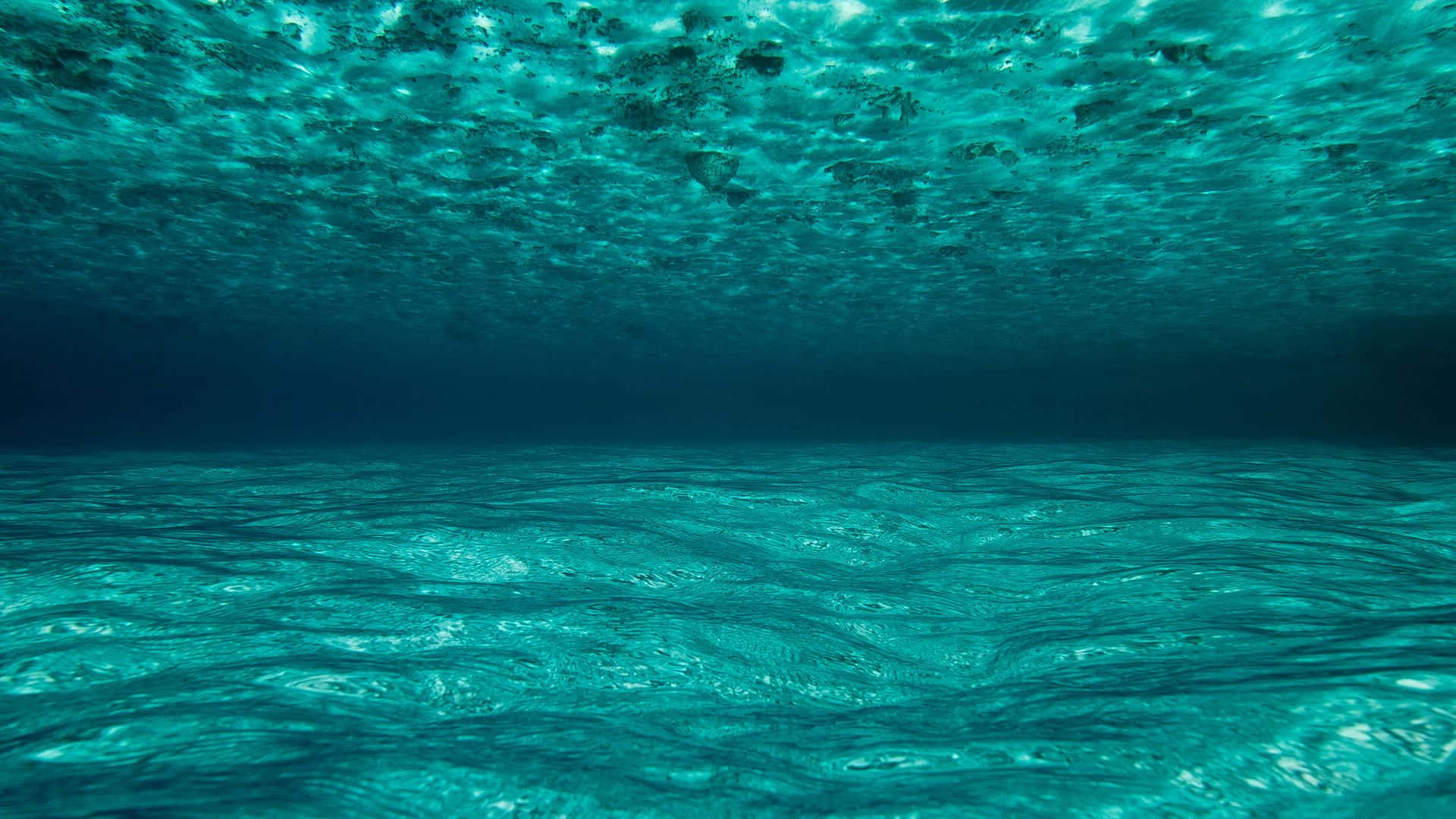 a view of the ocean floor from the bottom