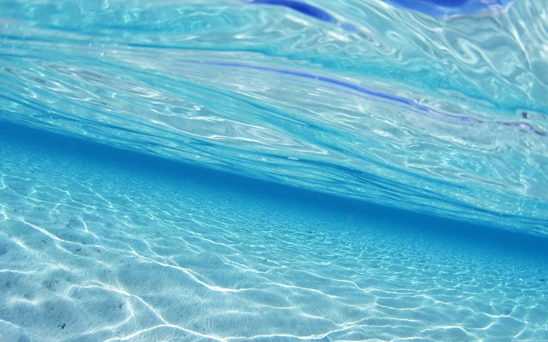 Beundrarskönheten I Det Azurblå Havsvattnet.