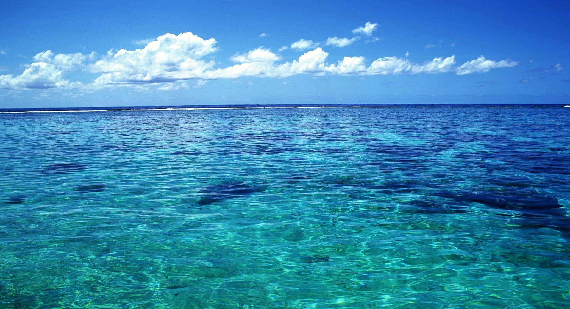 Serenitàdel Mare: Assorbendo La Calma Dell'immensa Oceano Blu