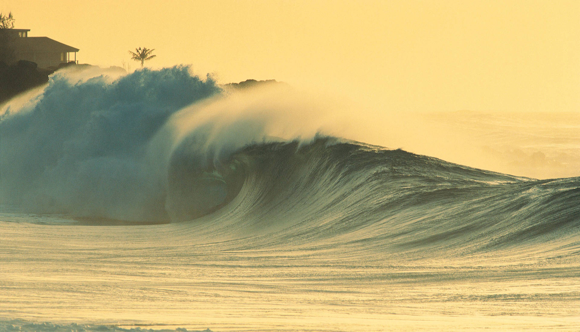 Feel the power of an immortal ocean wave Wallpaper