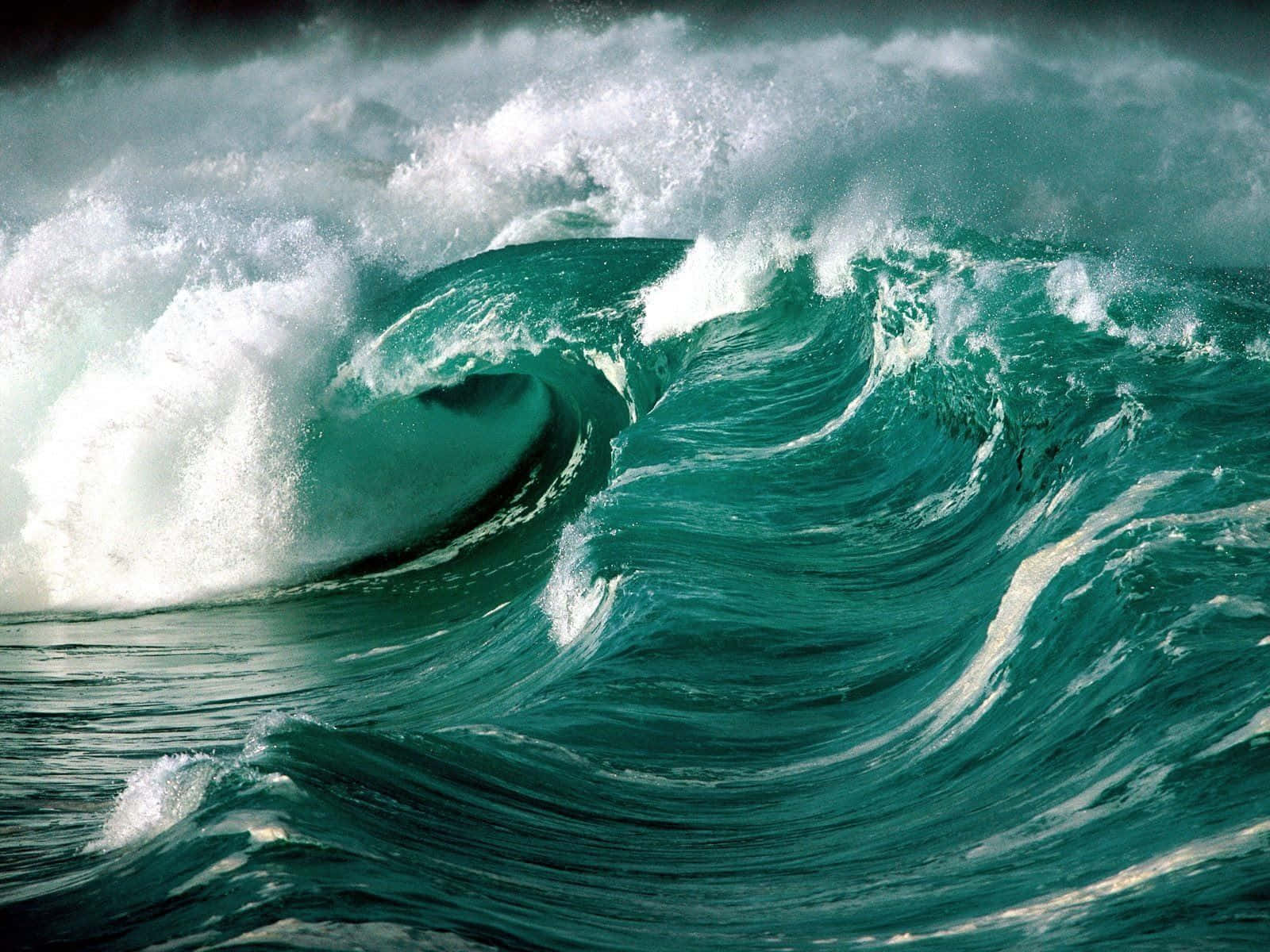 Mesmerizing Ocean Waves in High Definition
