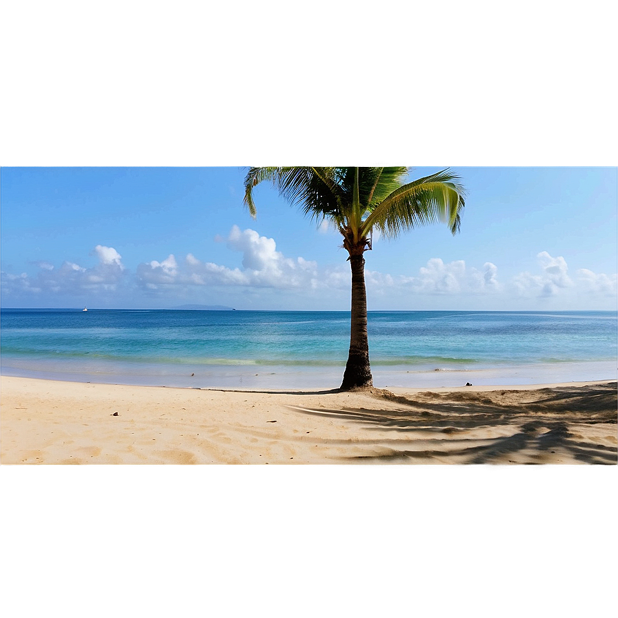 Oceanfront Palm Silhouette Png Wha62 PNG