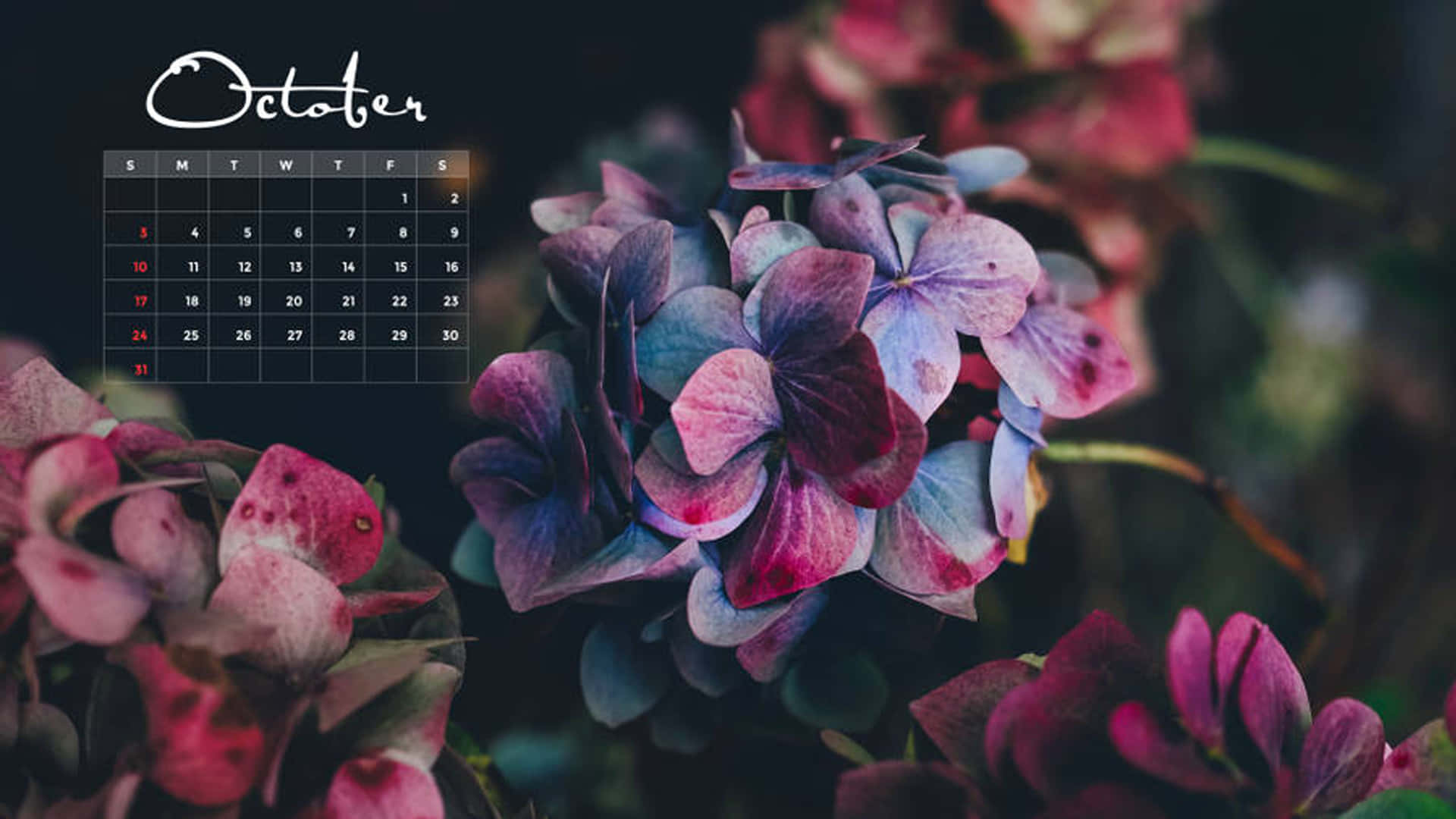 Et kalender med blomster på det. Wallpaper