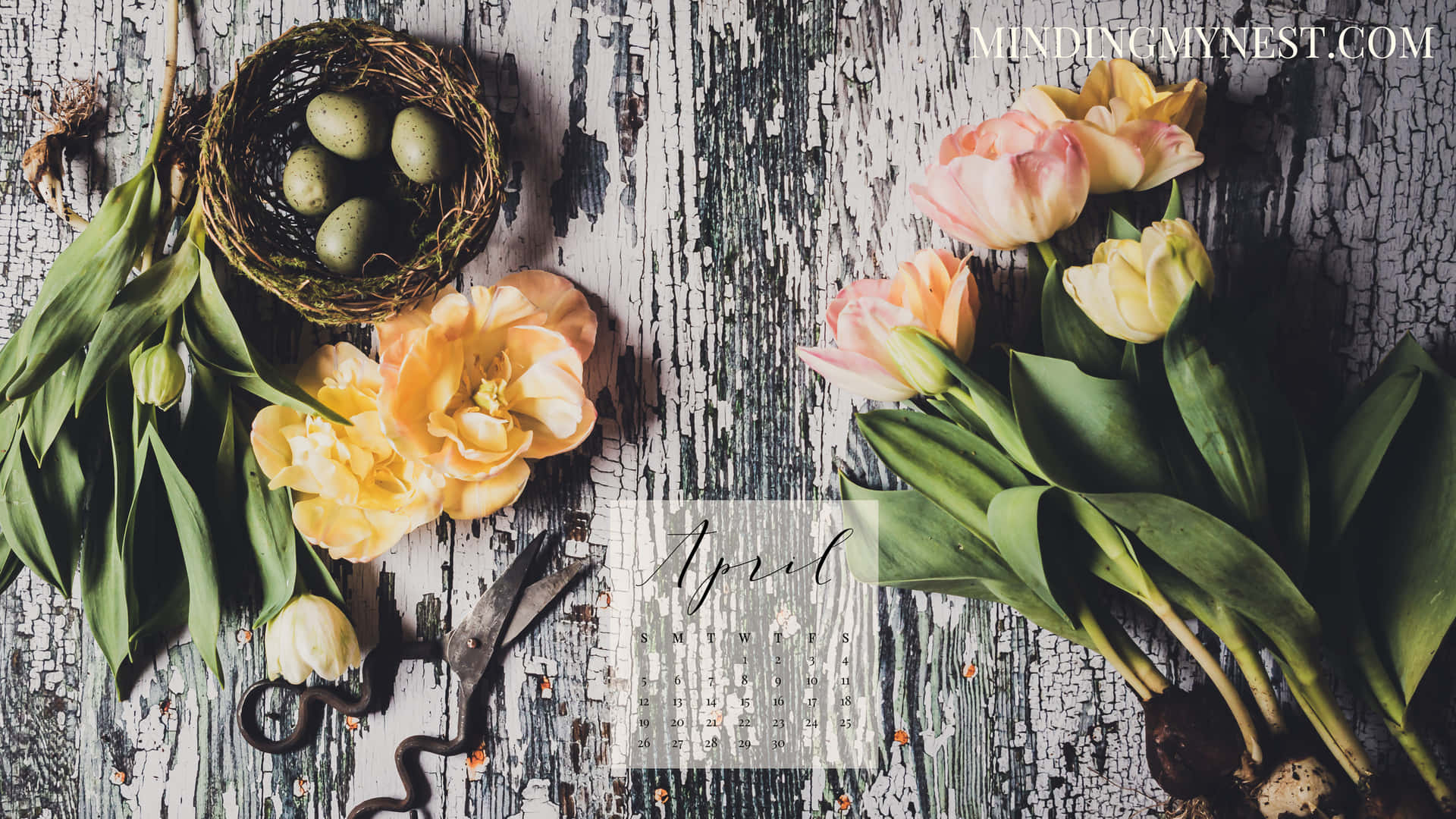 A Calendar With Tulips And Eggs On A Wooden Table Wallpaper
