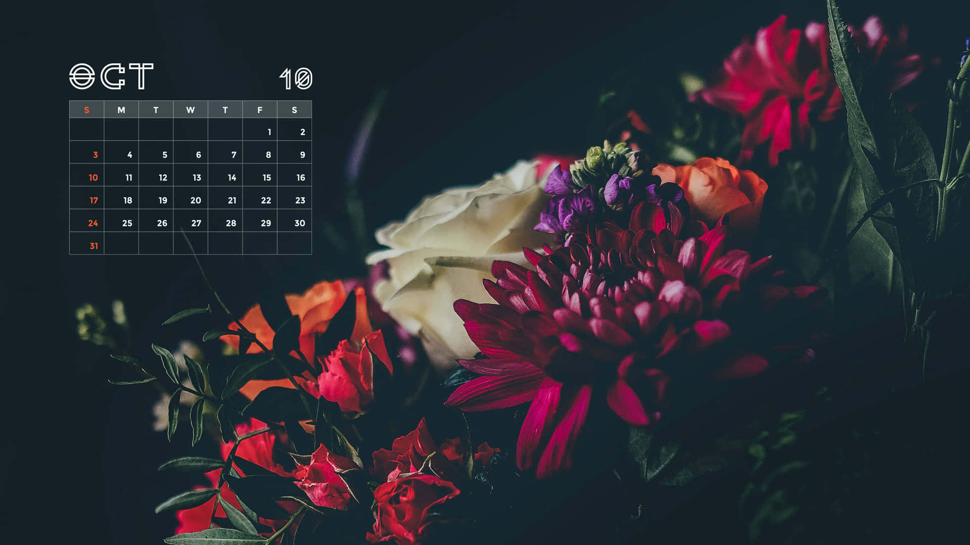 Get organized and plan ahead with this October 2021 Calendar Wallpaper