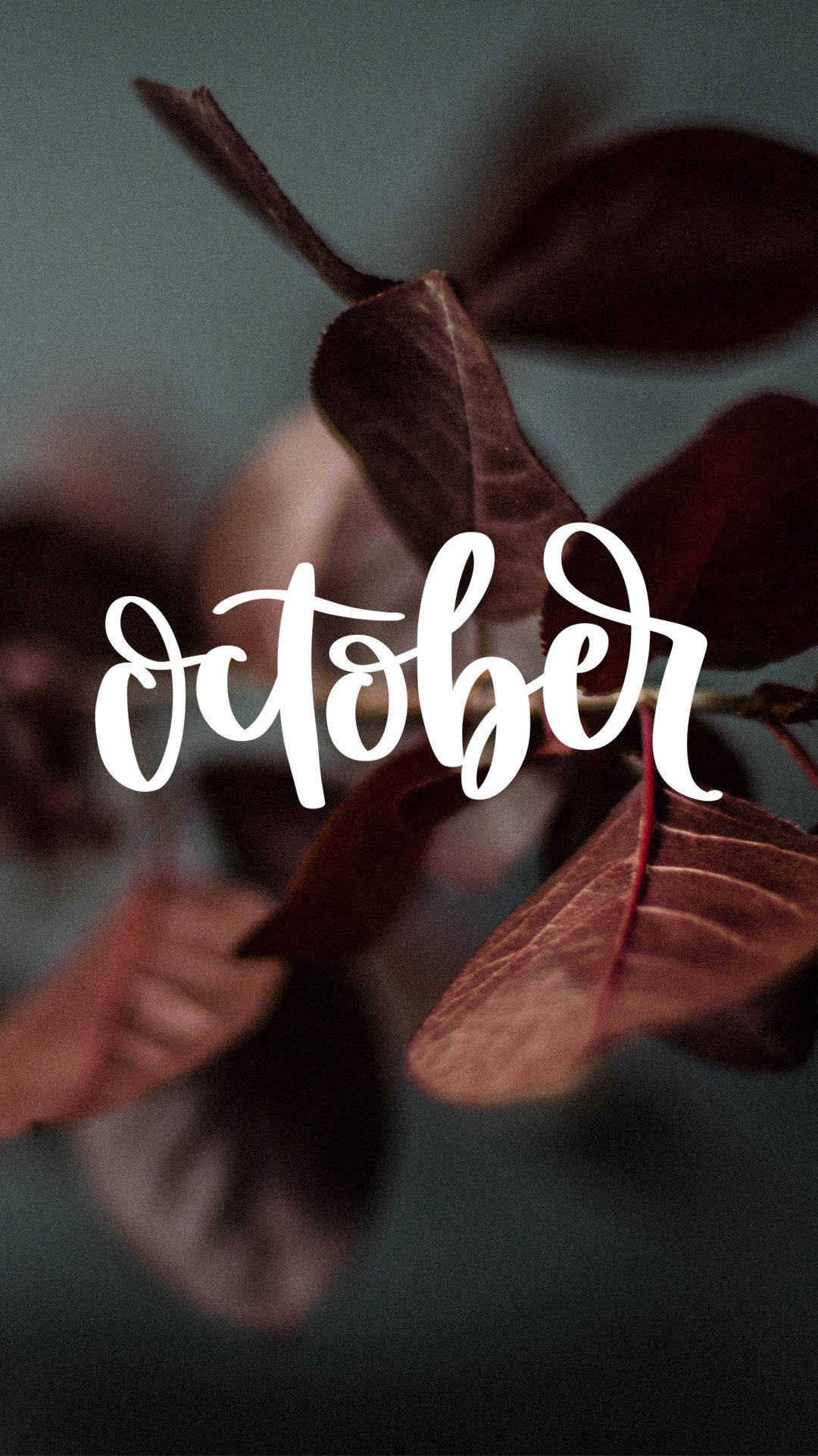 October Aesthetic Calligraphy Leaves