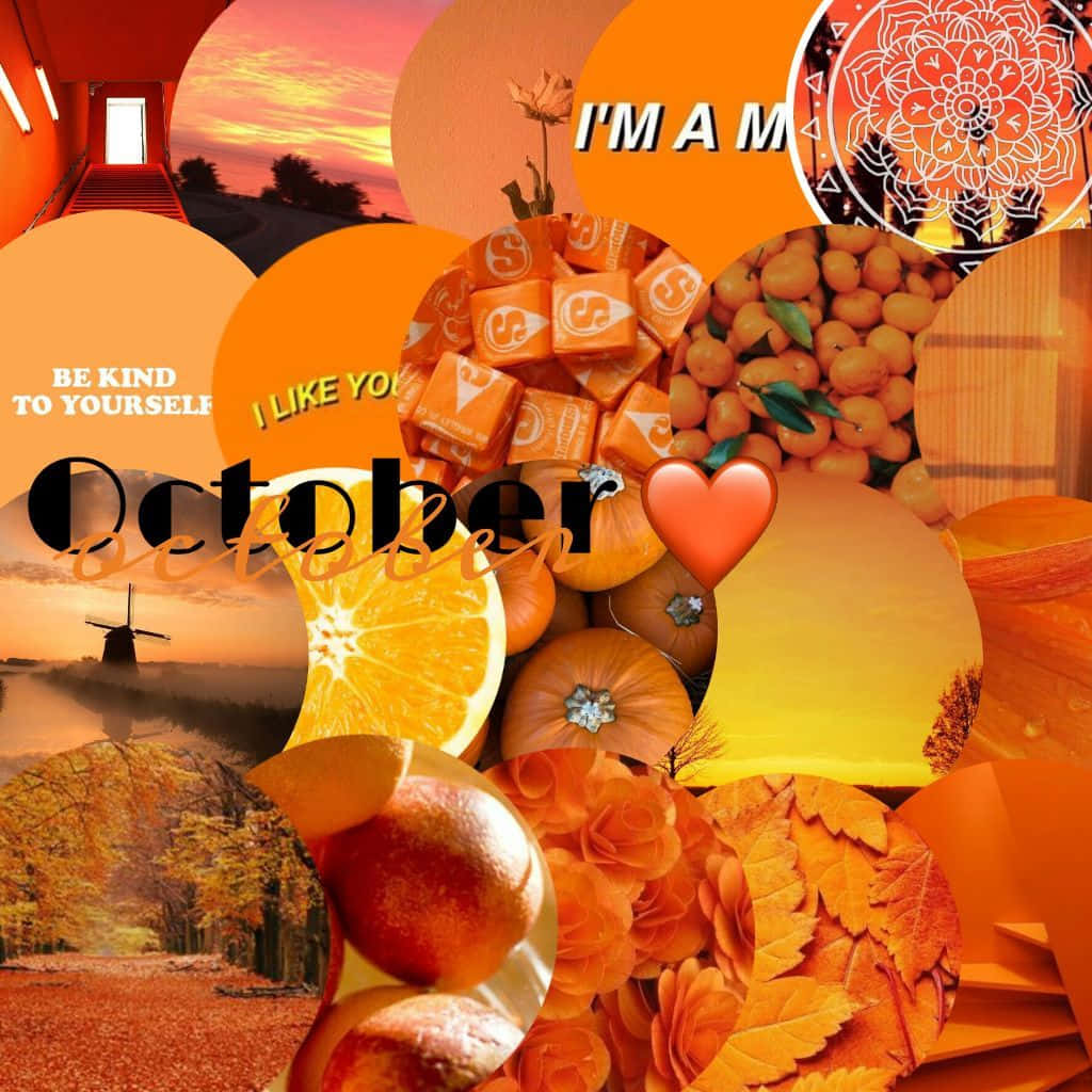 October Aesthetic Orange Collage Wallpaper