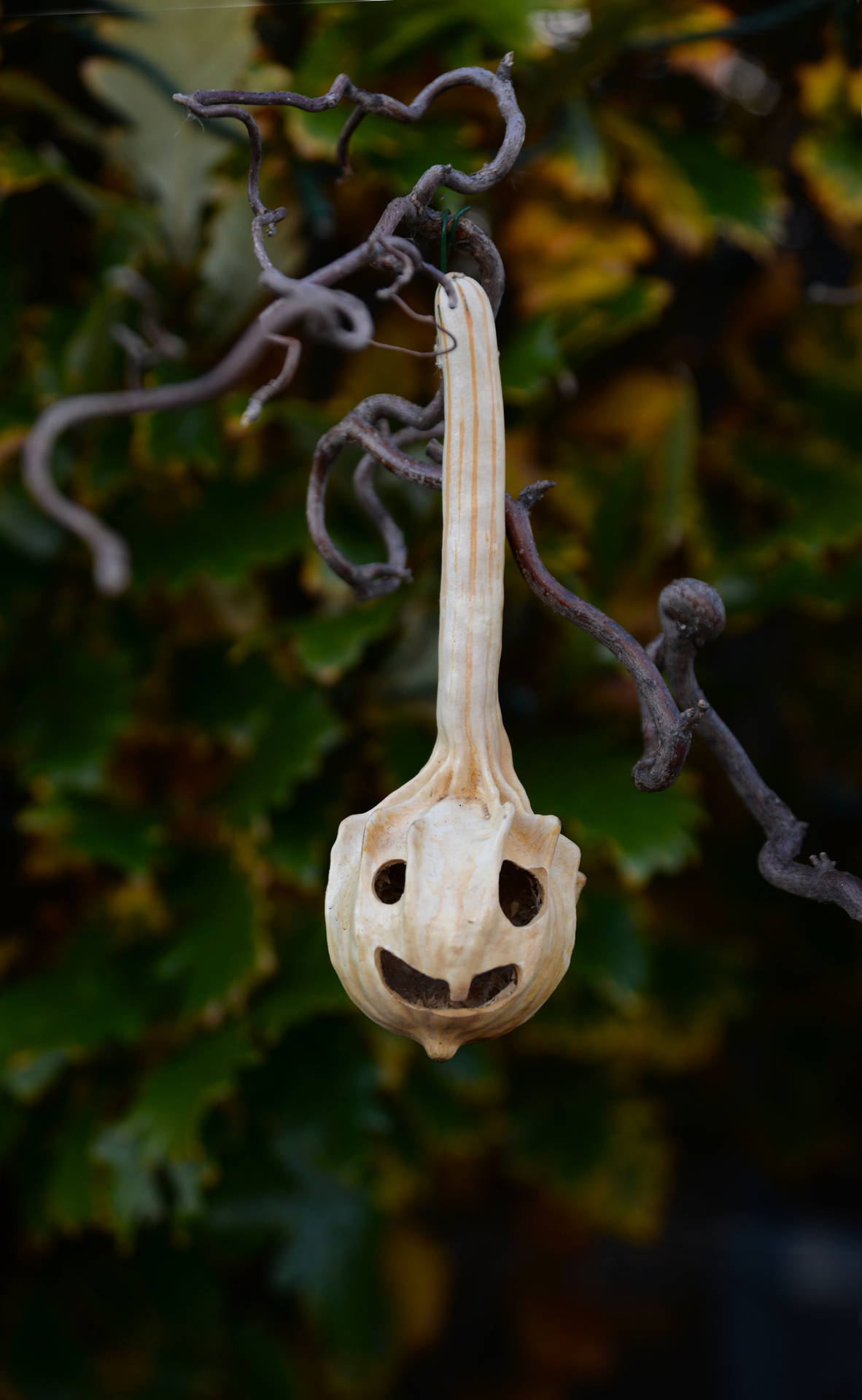October Halloween Ghost Pumpkin