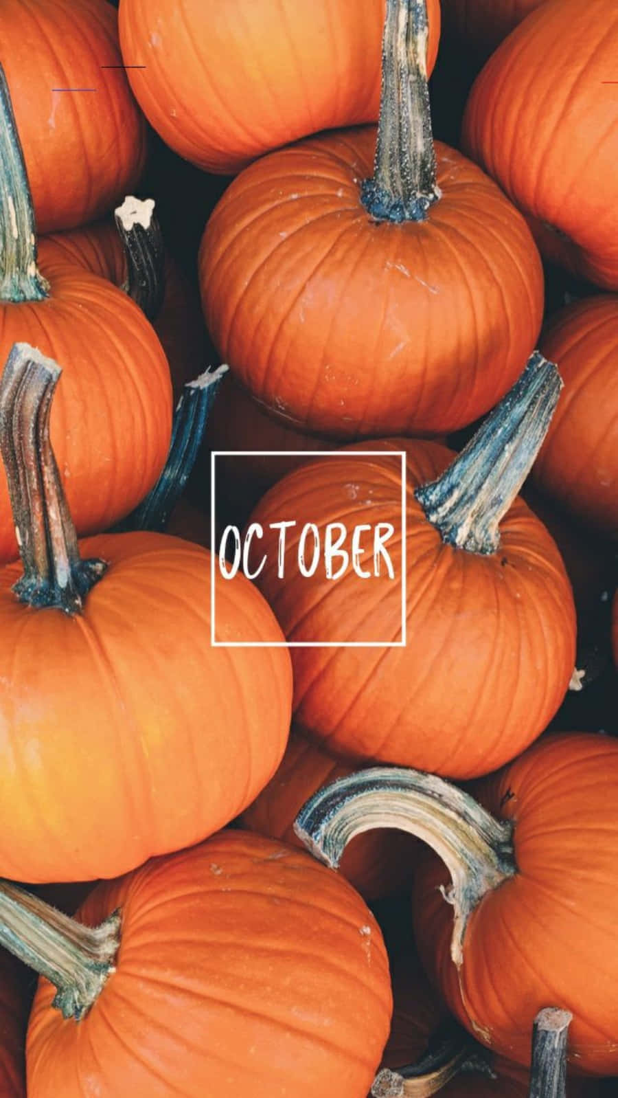 October Festivities with iPhone Wallpaper