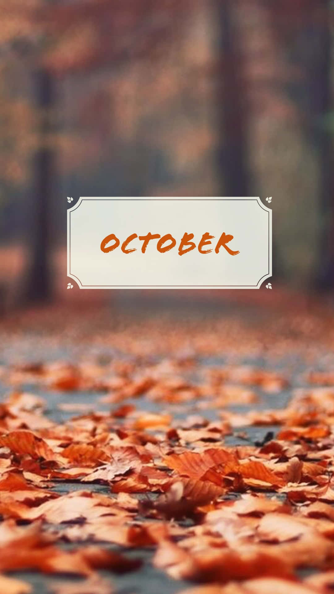 Oktobermonat Boden Getrocknete Blätter Iphone Wallpaper