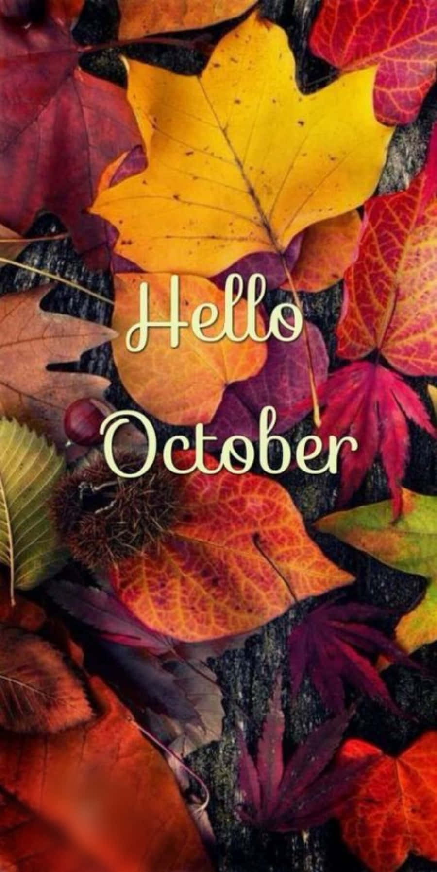 Hello October Colorful Leaves IPhone Wallpaper