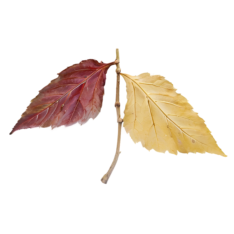 October Leaves Falling Png Bsy PNG