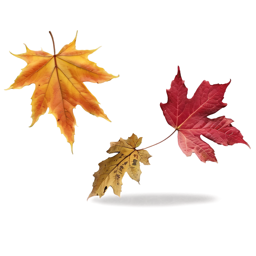 October Leaves Falling Png Tta35 PNG