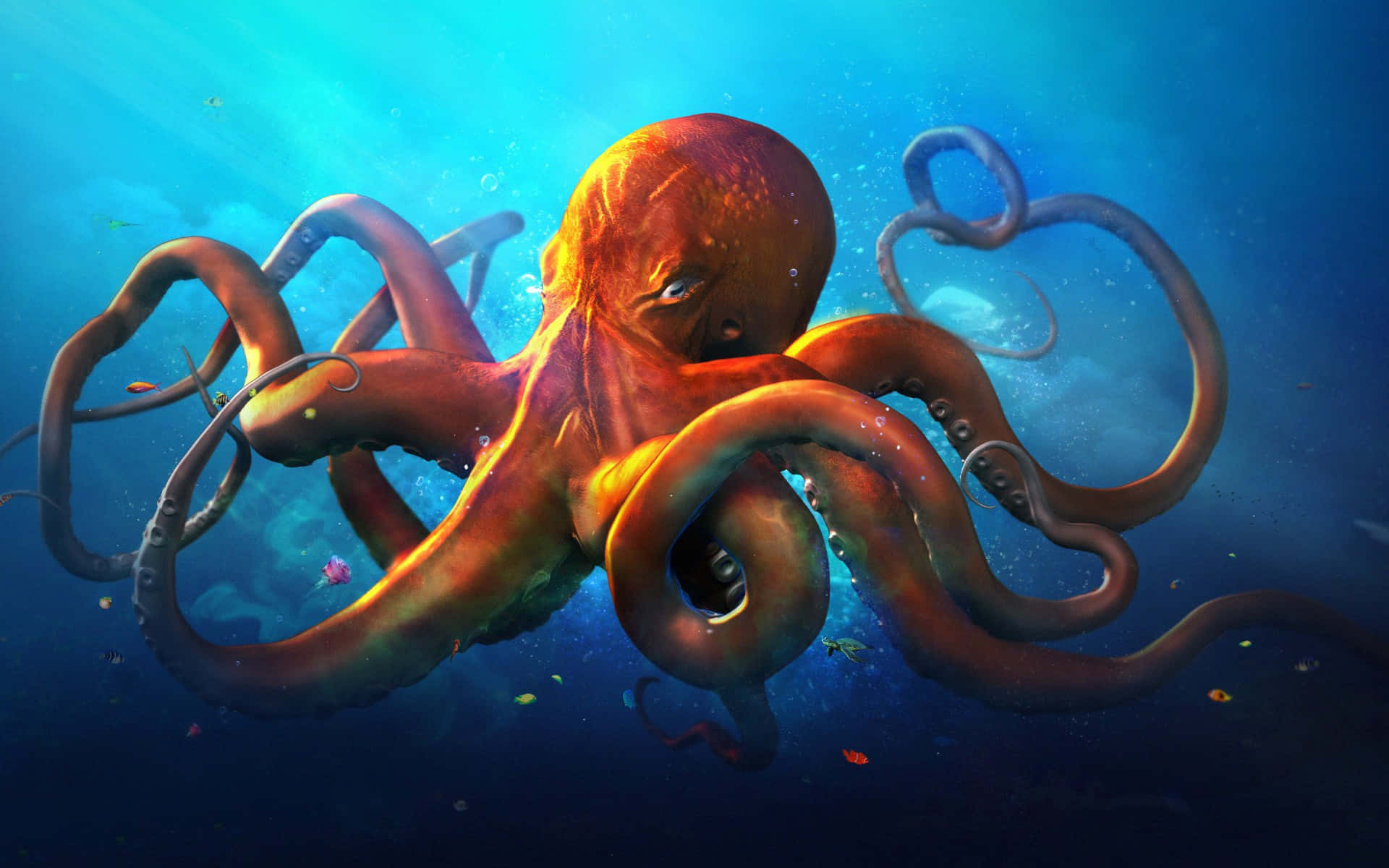 An octopus peeking up from its underwater habitat