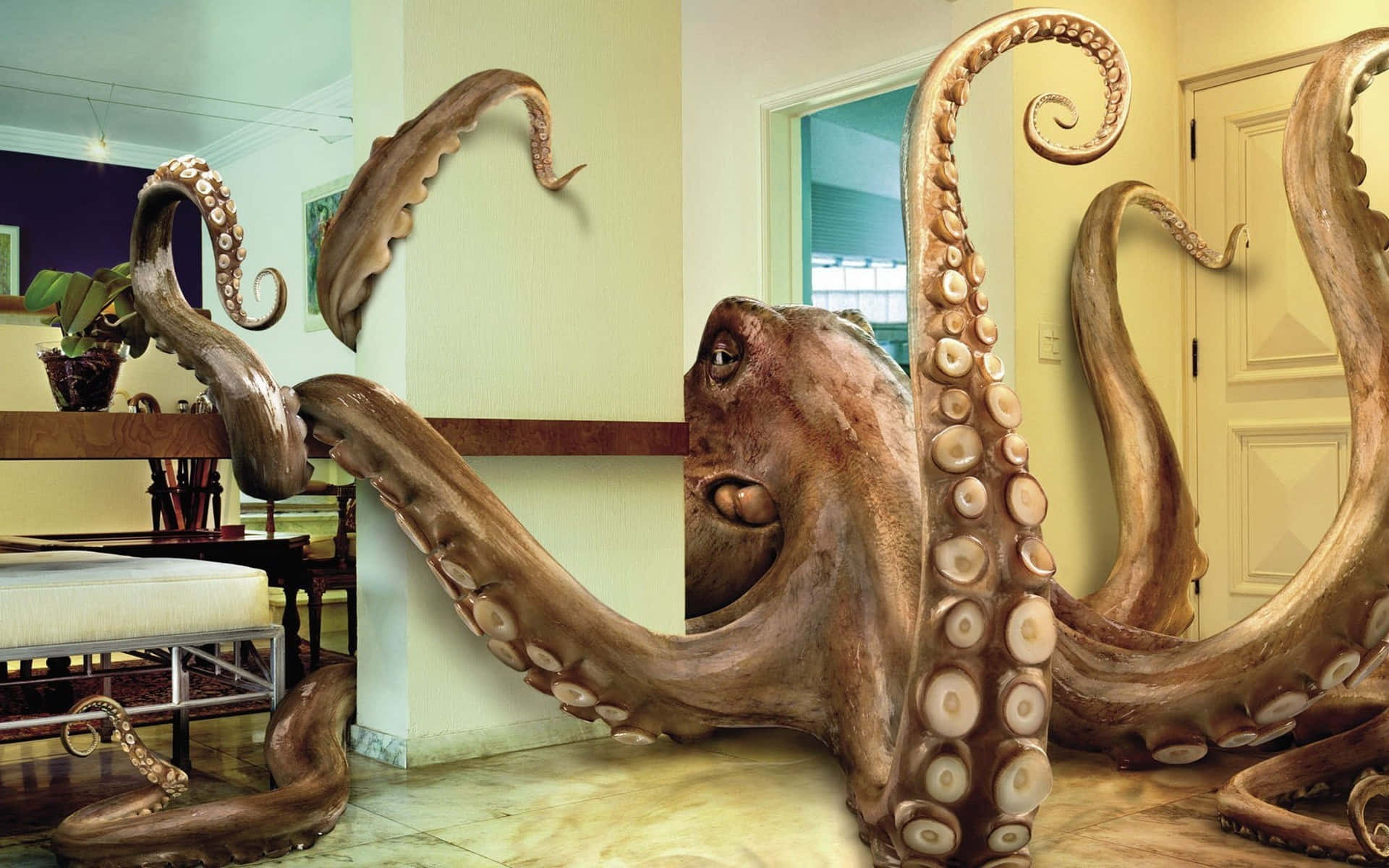 : An Octopus in its Natural Habitat