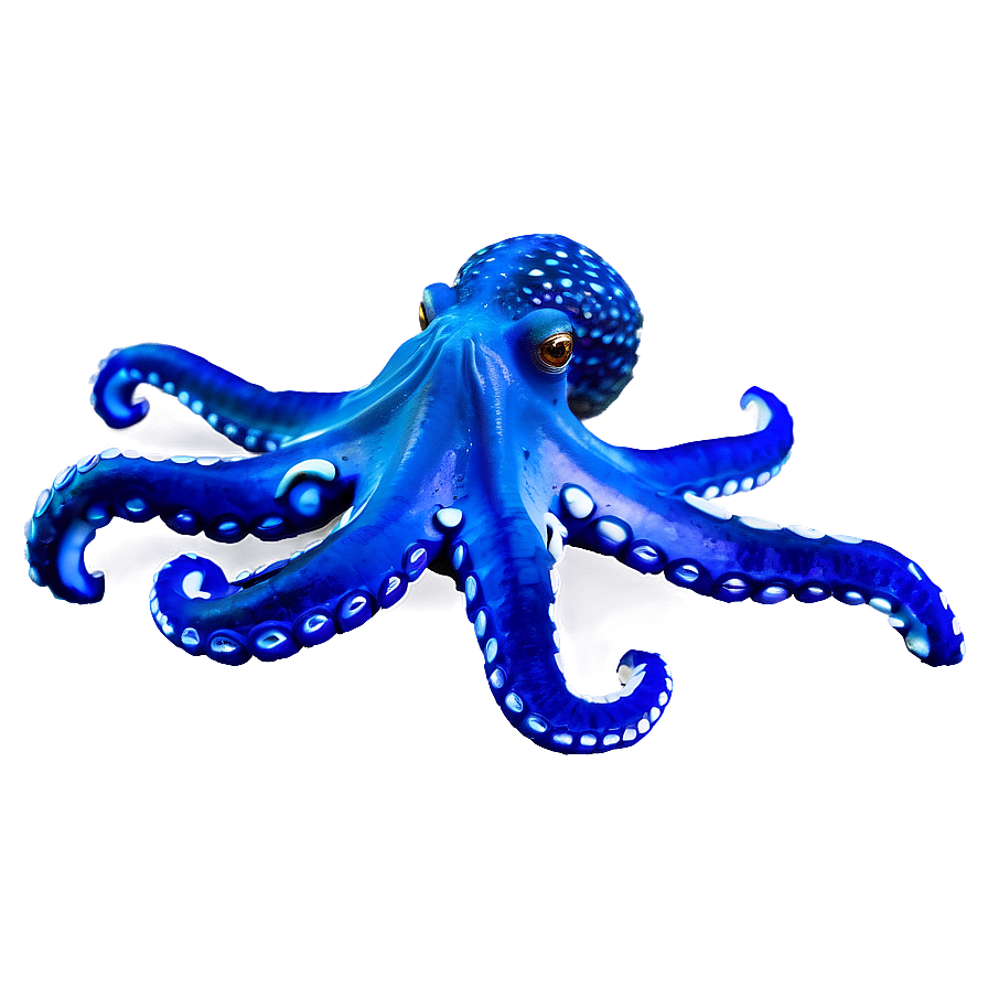 Download Octopus In Ocean Png Sdb | Wallpapers.com