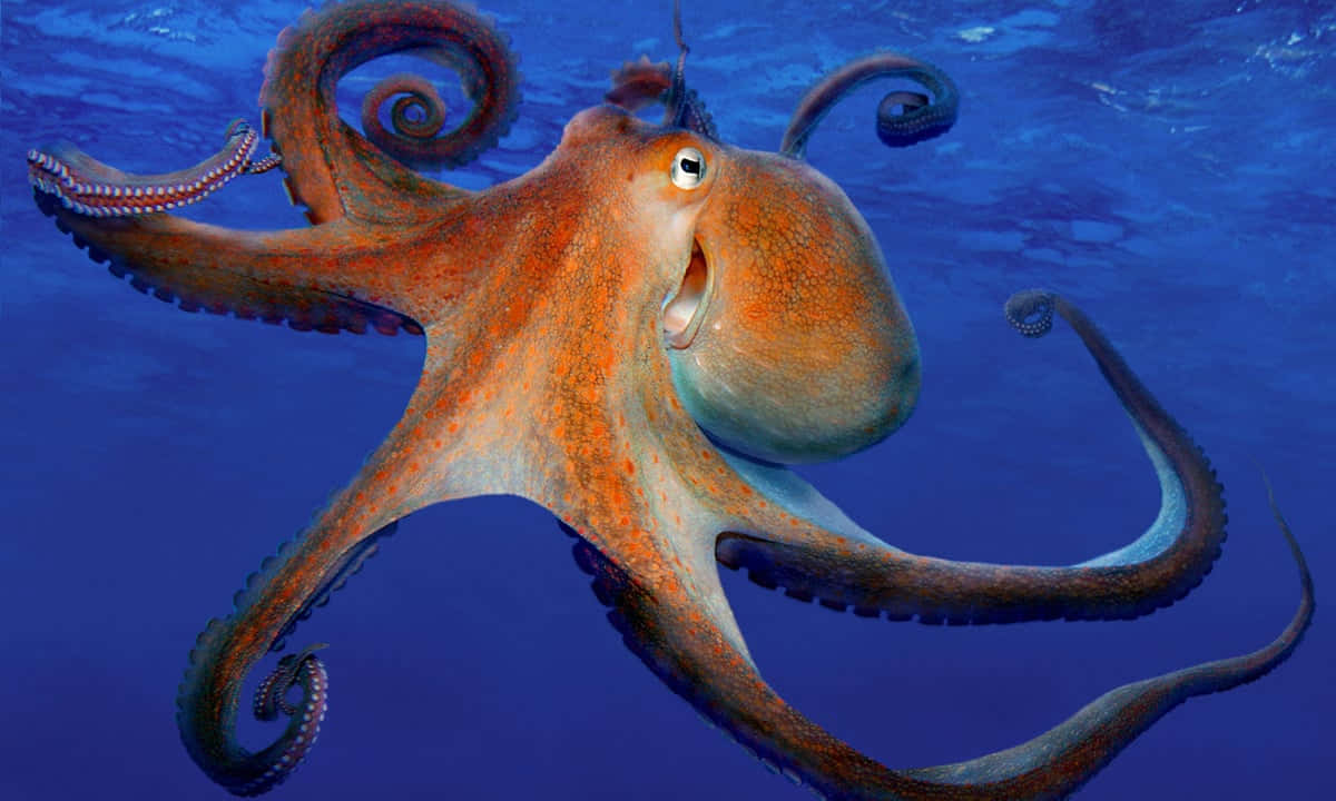An abstract image of an octopus swimming against the tide