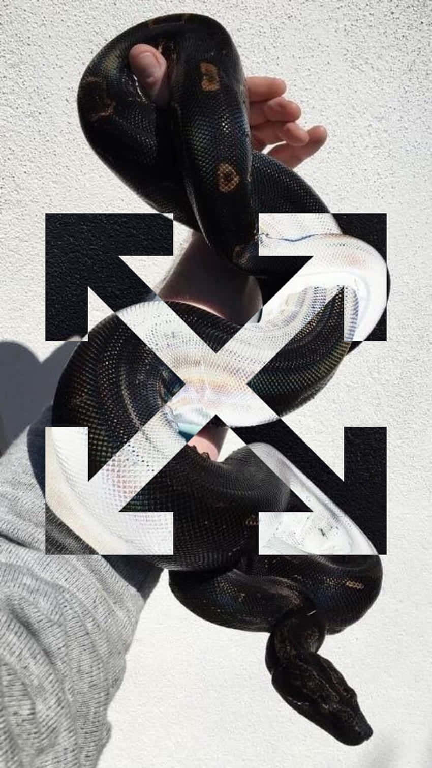 Logound Schlange Auf Einem Weißen Iphone Wallpaper