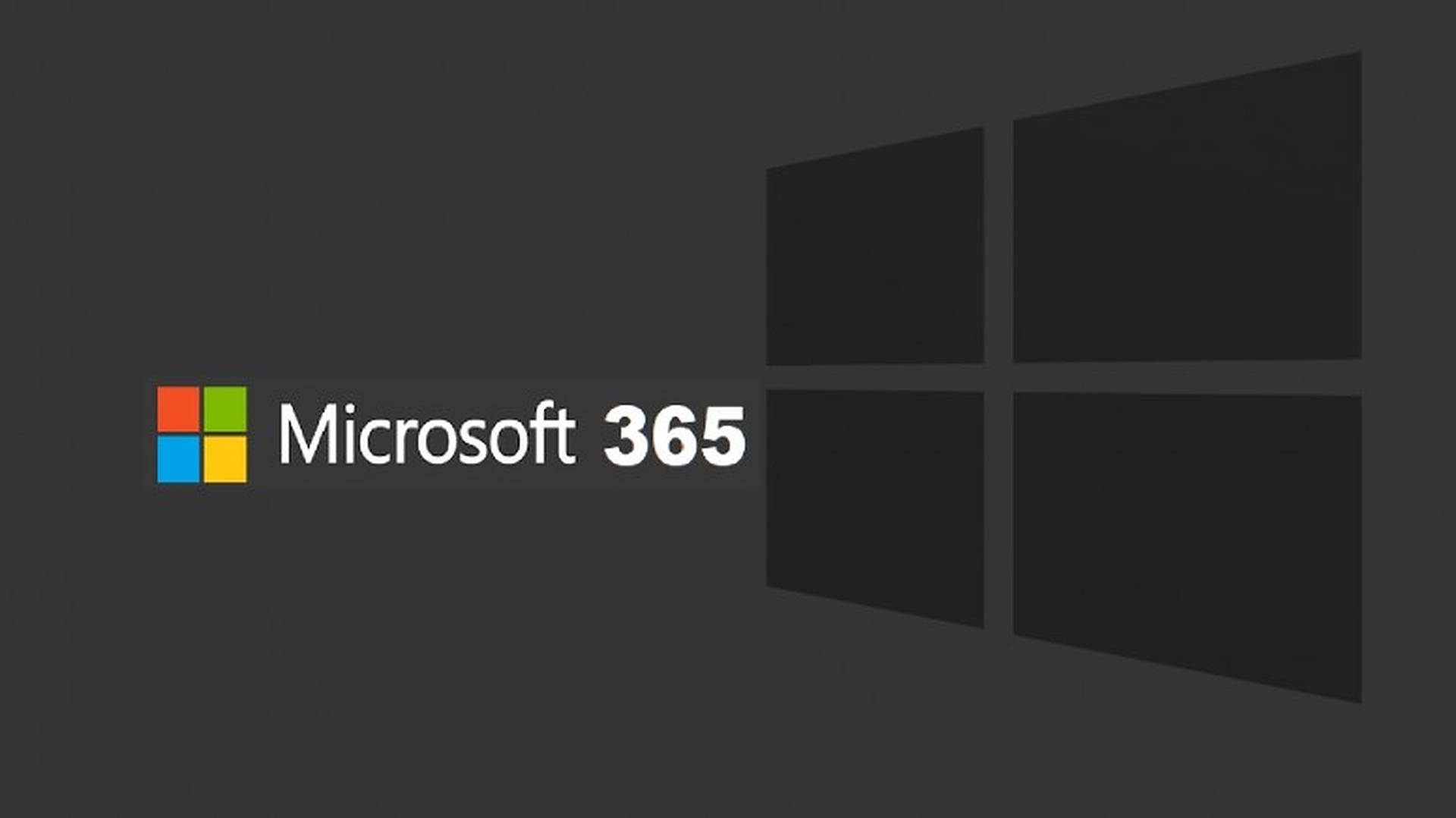 Office 365 Black Windows Logo Wallpaper