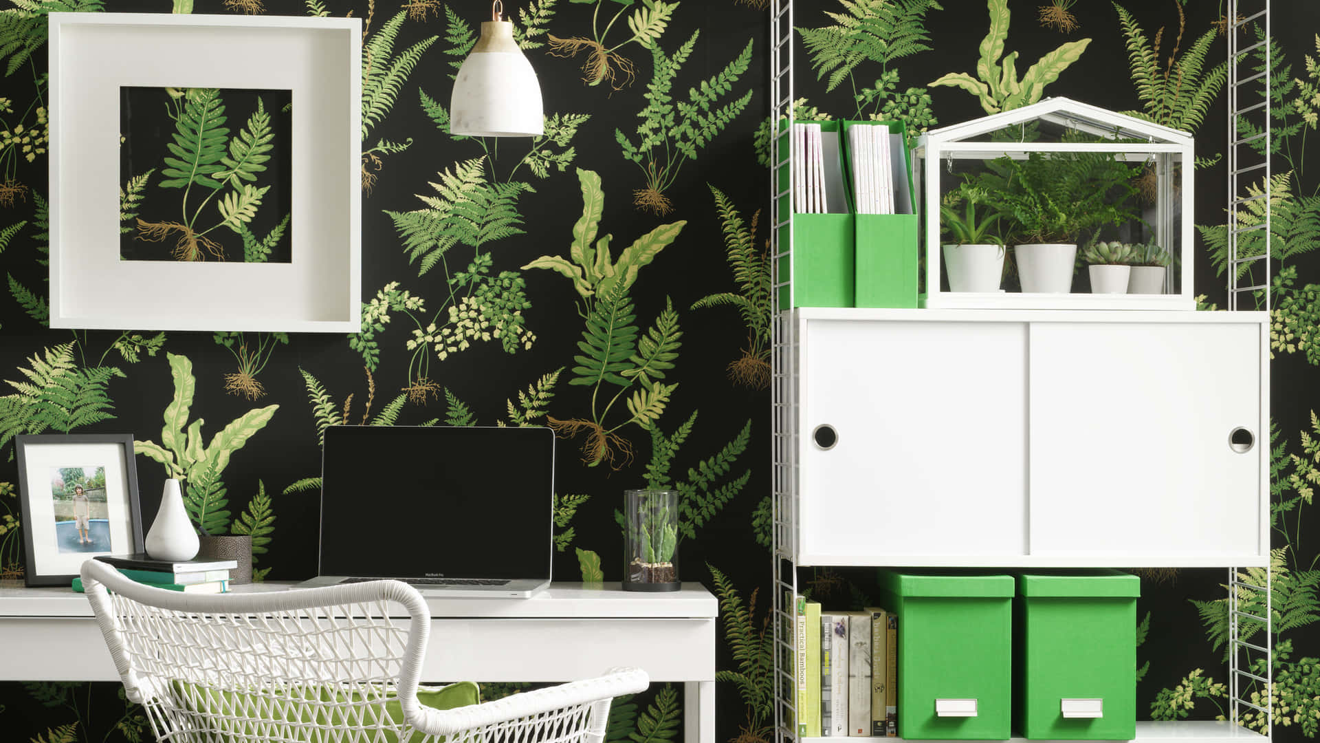 A Black And Green Office With Fern Wallpaper