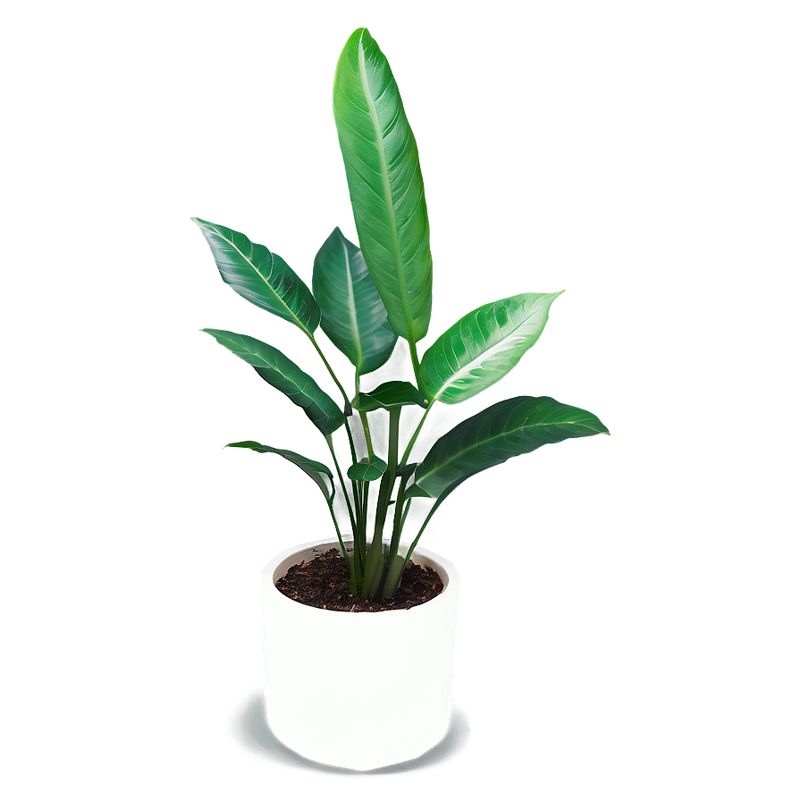 Office Plant Png 34 PNG