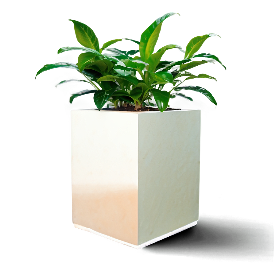 Office Plants Png Tnx PNG