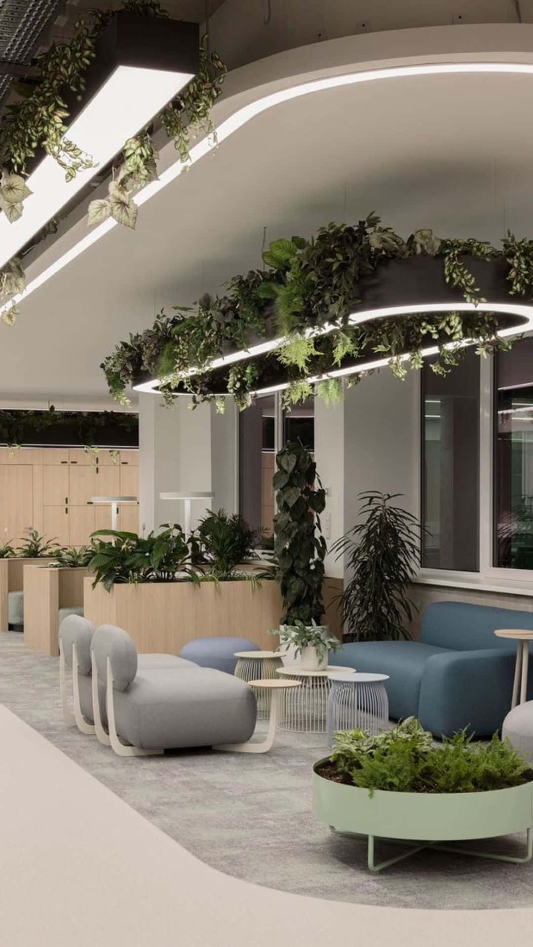 A Modern Office With Plants And Couches